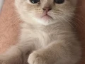 PELUŞ GİBİ CANA YAKIN BEBEĞİM