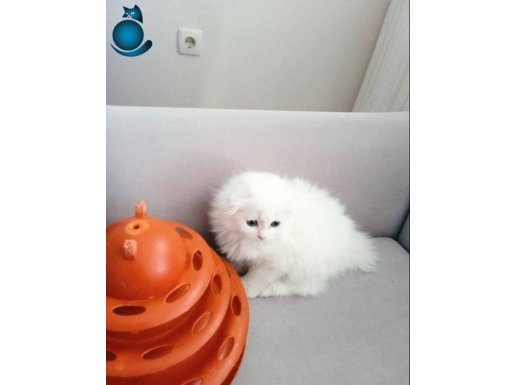 HODRİ MEYDAN EN YAKIŞIKLI BENİM 