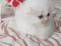 ENN GüZEL BAYRAM HEDİYESİ BENİM