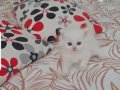 ENN GüZEL BAYRAM HEDİYESİ BENİM