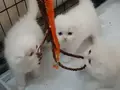 ENN GüZEL BAYRAM HEDİYESİ BENİM