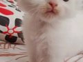 ENN GüZEL BAYRAM HEDİYESİ BENİM