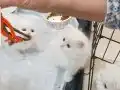 ENN GüZEL BAYRAM HEDİYESİ BENİM