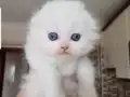 ENN GüZEL BAYRAM HEDİYESİ BENİM