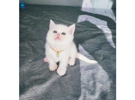 Bebeksi kizimiz acil