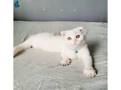 Bebek suratlı oğlumuz