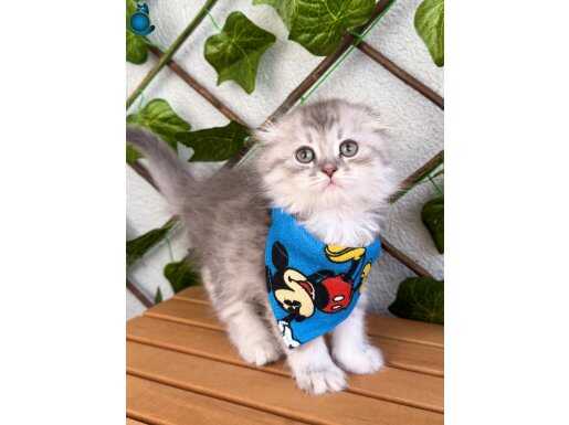 BEBEK SURAT ERKEK MASUM BEBEMİZ