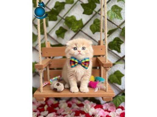 YENİ YILDA HUZUR GETİRECEK BEBEĞİMİZ 