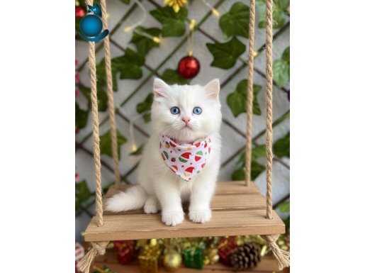 YENİ YILIN EN GÜZEL HEDİYESİ KARBEYAZI BEBE