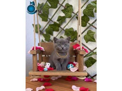 DİŞİ GÜZELLER GÜZELİ TATLI KIZIMIZ 