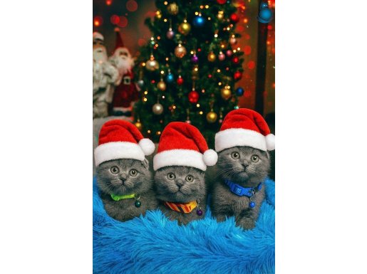 Birbirinden tatlı dişi erkek yavrular 