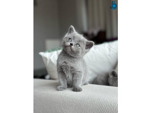 ANKARANIN EN ÖZEL BEBEKLERİ 