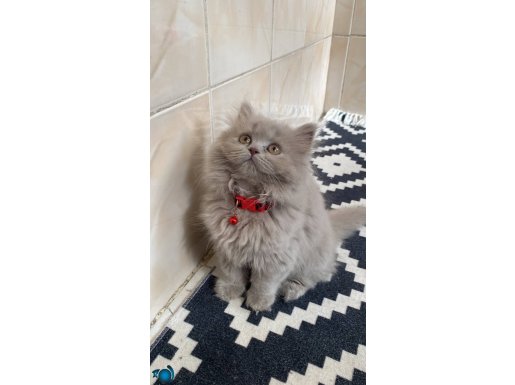 Minik kızımızdan artık ayrılma zamanı 
