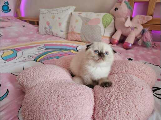 Muhteşem güzellikler