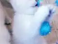 Sağlıklı britishler