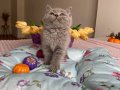 Sağlıklı oyuncu ev ortamından