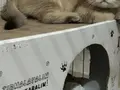 Ev ortamında büyüyen minikler