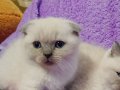 Pamuk evine gitmeye hazır