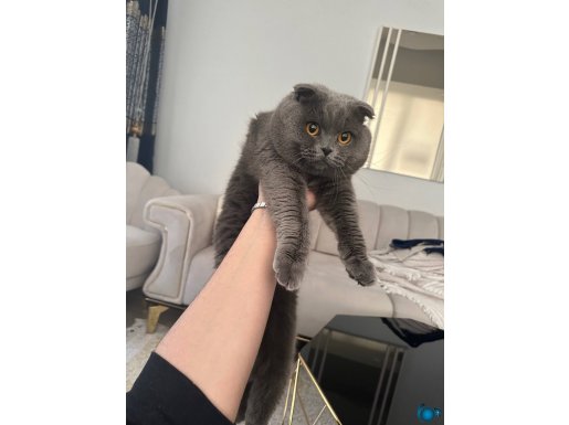 OGLUMUZ 3 YASİNDA COCUGUMUZ OLDU SAHİPLENDİRECEGİZ