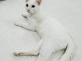 Minin dostumuza Ömürlük Yuva