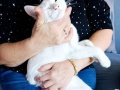 Minin dostumuza Ömürlük Yuva