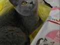 Canlarımızı Acil Sahiplendirmek İstiyoruz