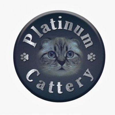 platinumpawscattery